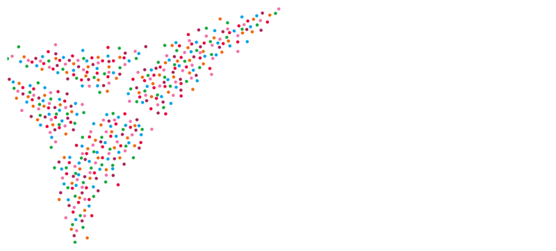 Saltire Foundation USA